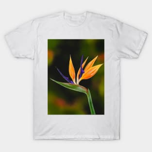 Bird of Paradise T-Shirt